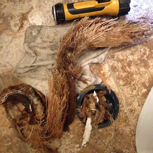 Plumber «One Stop Plumbing», reviews and photos, 820 Live Oak Dr d, Chesapeake, VA 23320, USA