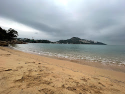 Stanley Ma Hang Park'in fotoğrafı vahşi alan