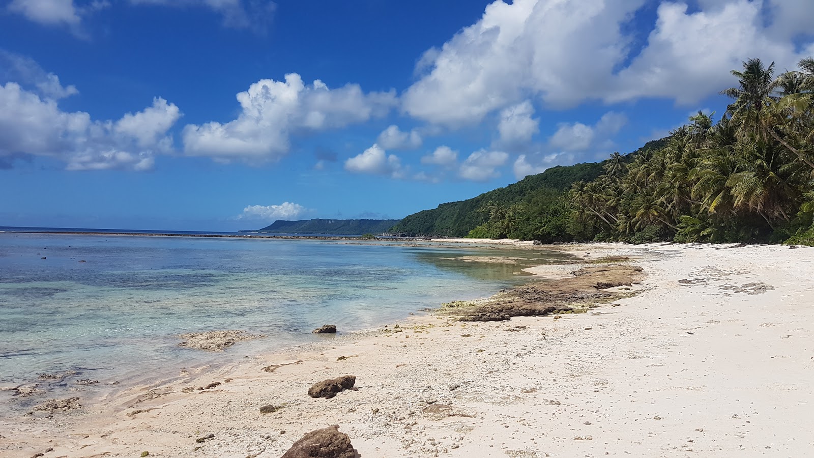 Foto von Shark Cove Beach mit geräumiger strand