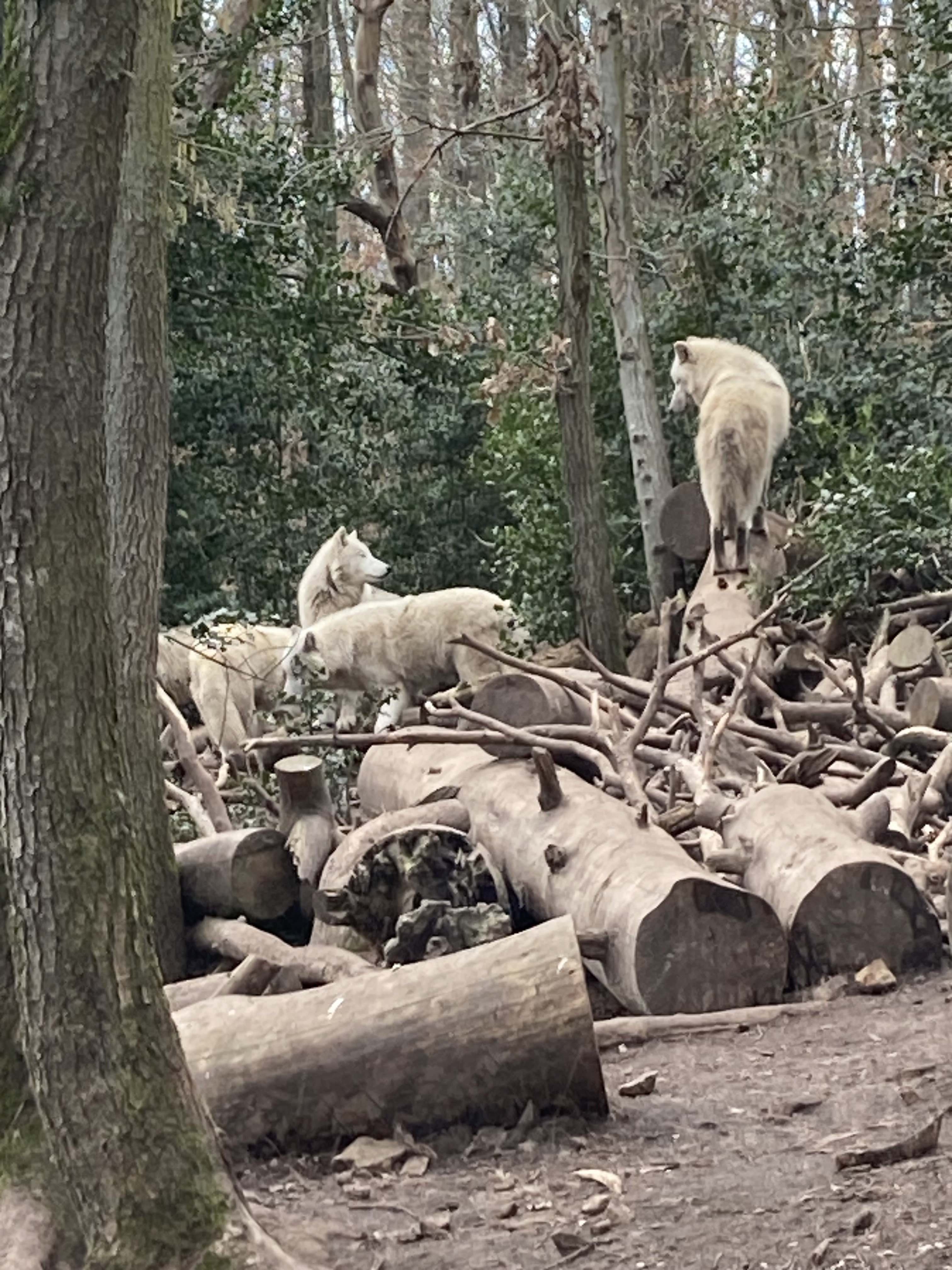 Photo n° 1 de l'avis de Myriam.. fait le 26/02/2023 à 17:42