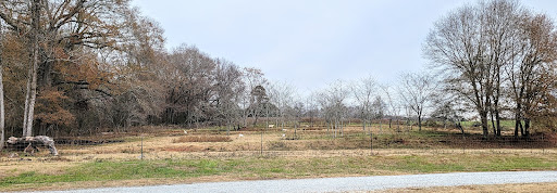 Grocery Store «Harris Meats», reviews and photos, 2305 N Elm St, Commerce, GA 30529, USA