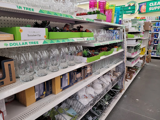 Dollar Store «Dollar Tree», reviews and photos, 4959 Bill Gardner Pkwy Ste 107, Locust Grove, GA 30248, USA