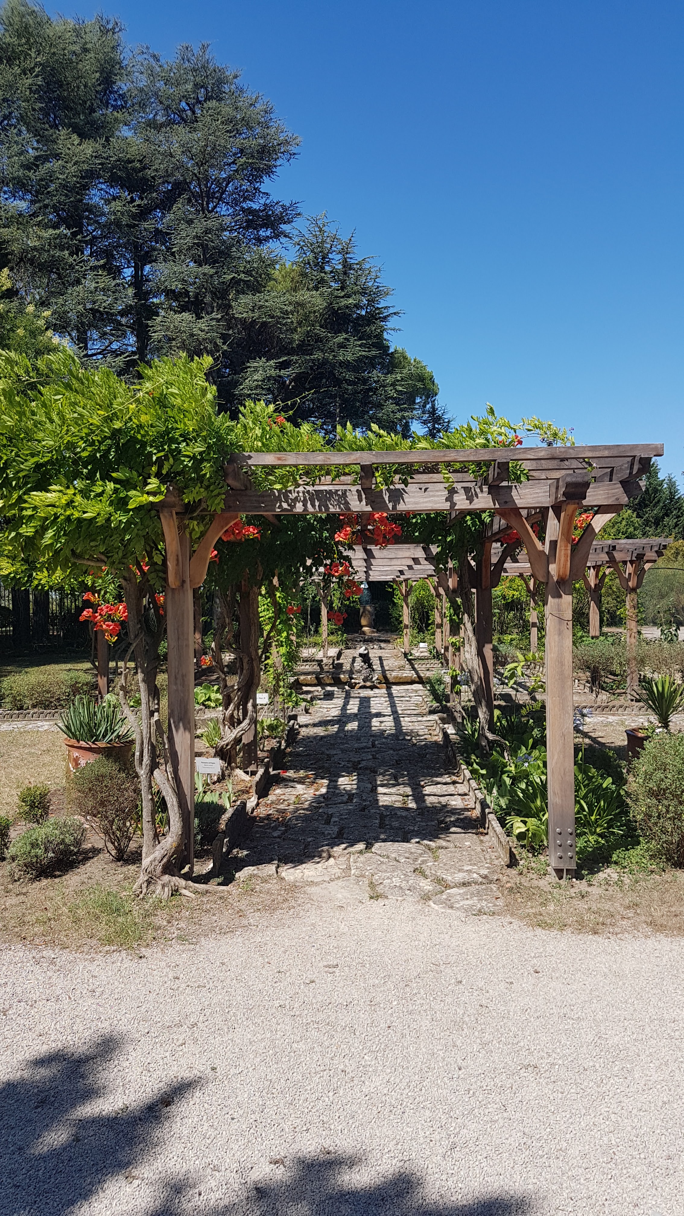 Photo n° 2 de l'avis de Cath.e fait le 02/08/2019 à 20:12