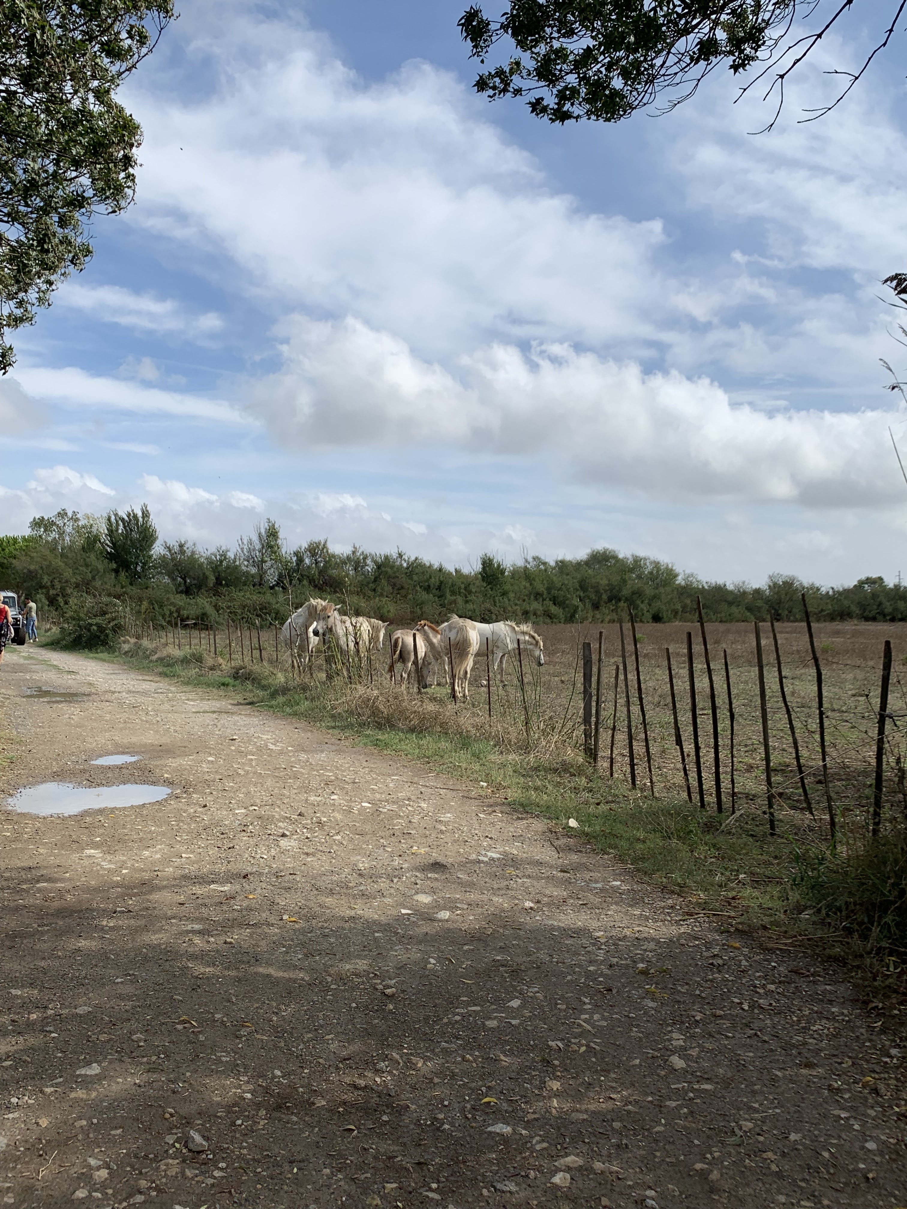 Photo n° 4 de l'avis de Nadège.e fait le 21/09/2023 à 12:45