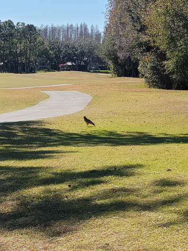 Golf Club «Cheval Golf and Athletic Club», reviews and photos, 4312 Cheval Blvd, Lutz, FL 33558, USA