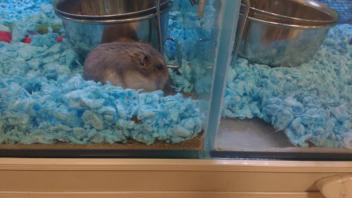 Pet Supply Store «PetSmart», reviews and photos, 1125 Hover St, Longmont, CO 80501, USA