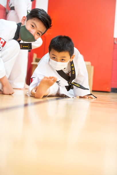 World Master Taekwondo Academy