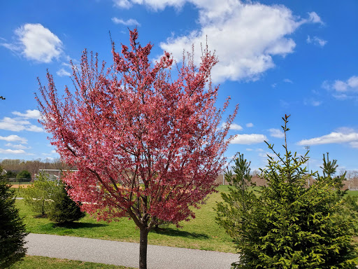 Park «Gough Park», reviews and photos, 9300 Honeygo Blvd, Perry Hall, MD 21128, USA