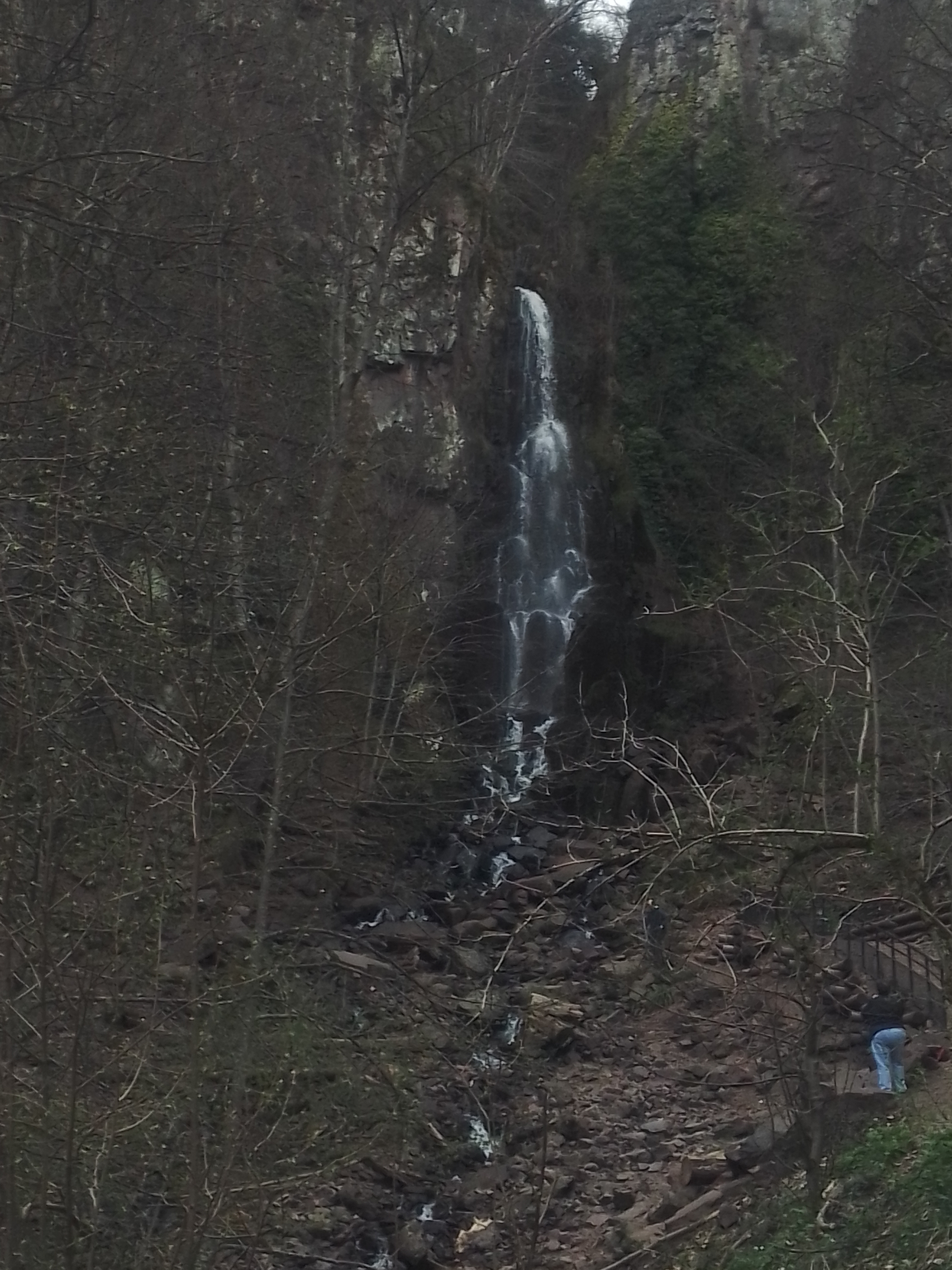 Photo n° 6 de l'avis de Adline. fait le 05/08/2020 à 16:36