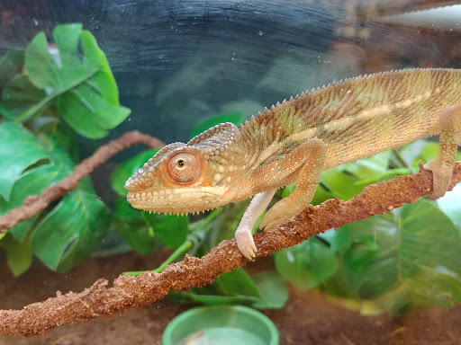 Pet Supply Store «Petco Animal Supplies», reviews and photos, 244 Pioneer Trail, Chaska, MN 55318, USA