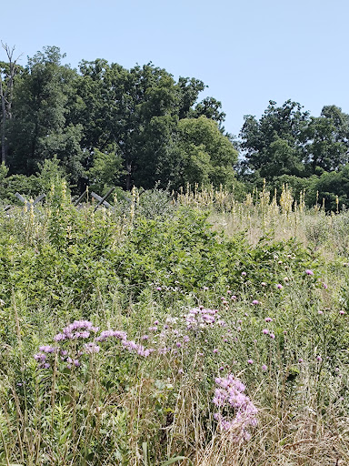 Battle Site «Third Battle of Winchester Battlefield Park», reviews and photos, 541 Redbud Rd, Winchester, VA 22603, USA