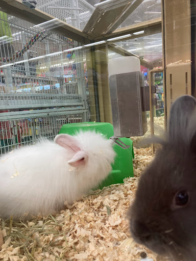 Pet Supply Store «Pet Supermarket», reviews and photos, 3821 S Cobb Dr, Smyrna, GA 30080, USA