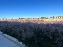 GreenShade Trees LLC. - Photo 2 - Car repair in Oklahoma City, OK, Oklahoma City