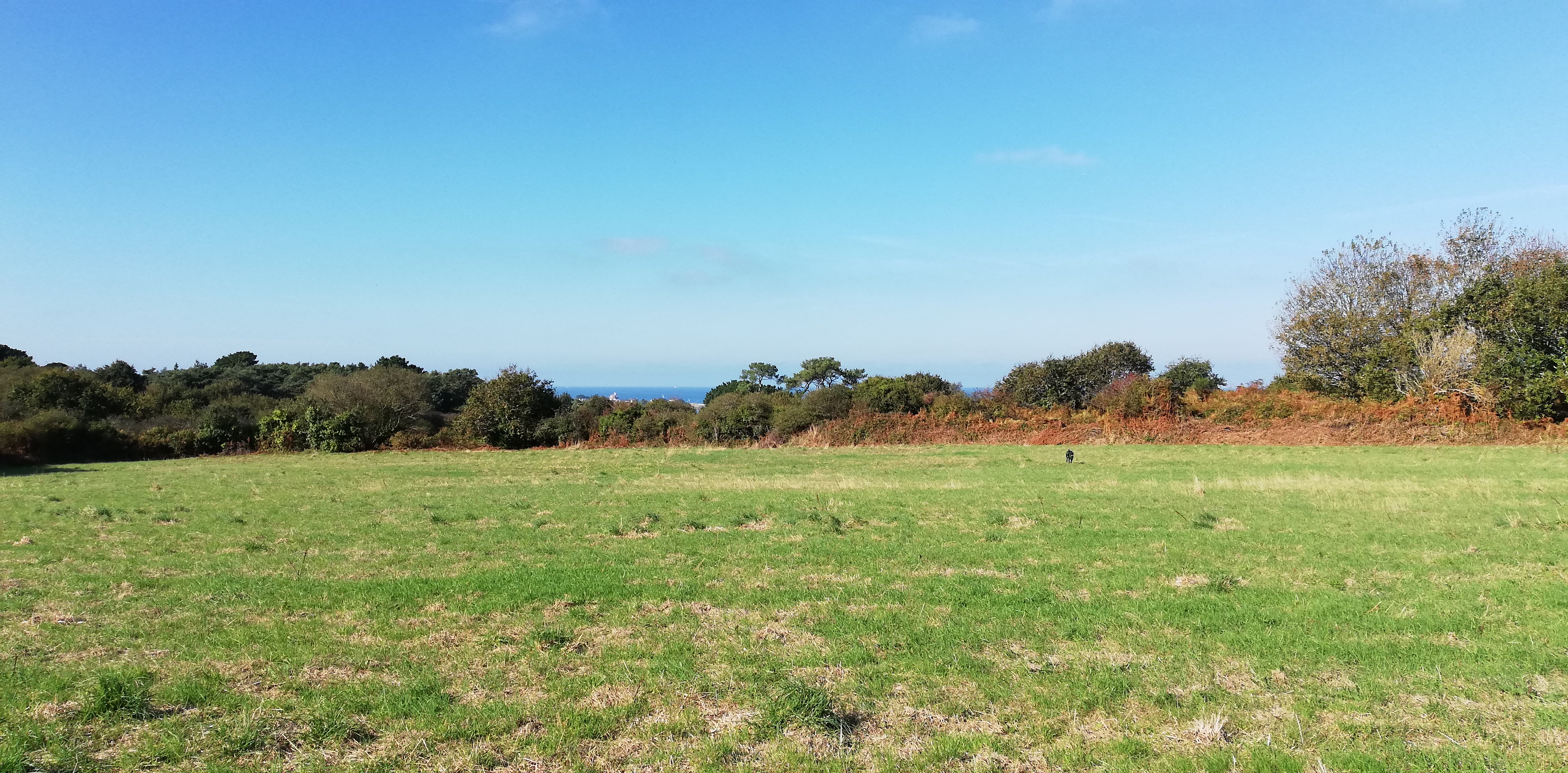 Photo n° 1 de l'avis de Camille.e fait le 24/10/2018 à 15:26