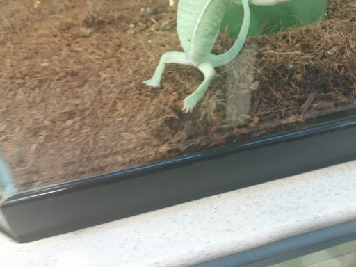 Pet Supply Store «Petco Animal Supplies», reviews and photos, 3731 Gateway Dr, Eau Claire, WI 54701, USA