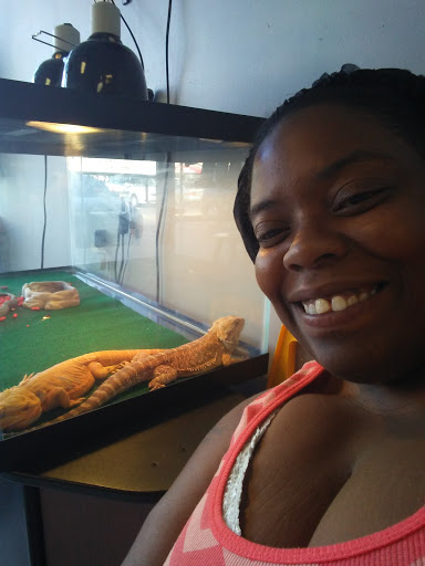 Tattoo Shop «Phat Boys Tattoos & Body Piercings», reviews and photos, 6640 Southwest Fwy A, Houston, TX 77074, USA