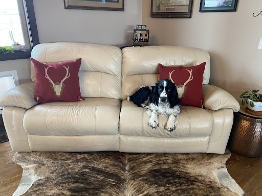 Used Furniture Store «UFS | Used Furniture Store», reviews and photos, 1921 W Main St, Bozeman, MT 59718, USA