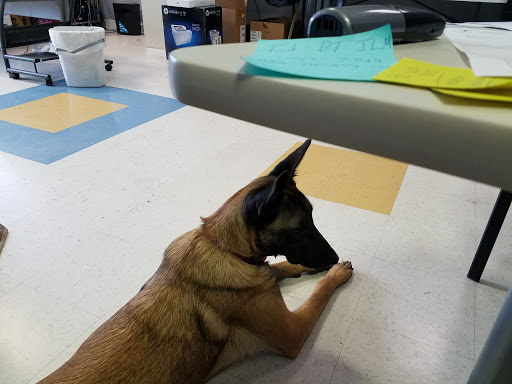 Computer Repair Service «Your Computer Friends», reviews and photos, 3818 Oleander Dr, Wilmington, NC 28403, USA