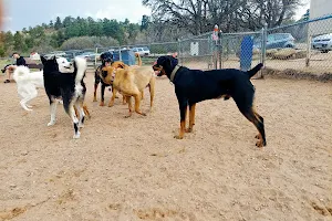 Palmer Park Dog Park image