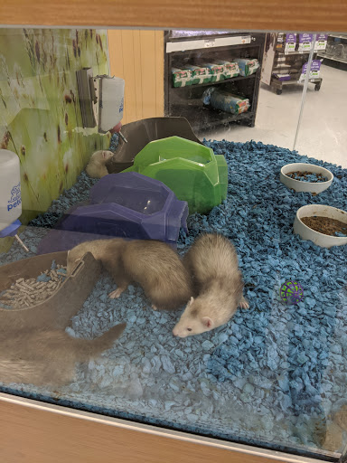 Pet Supply Store «Petco Animal Supplies», reviews and photos, 16434 N Marketplace Blvd, Nampa, ID 83651, USA