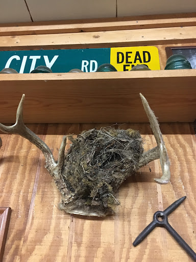 Grocery Store «Shelby Forest General Store», reviews and photos, 7729 Benjestown Rd, Millington, TN 38053, USA