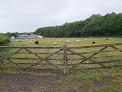 Sandwell Park Farm
