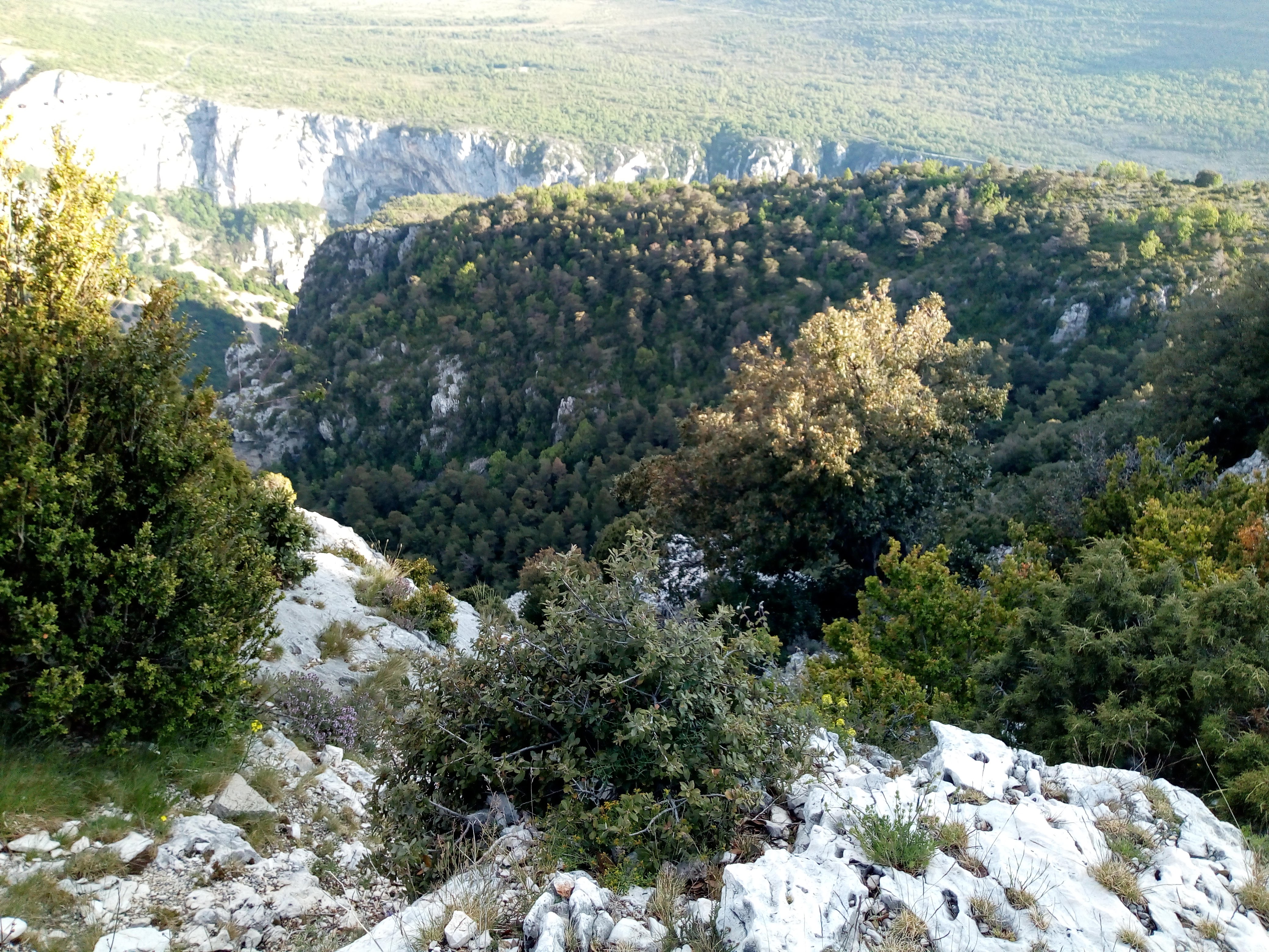 Photo n° 2 de l'avis de Sandra.e fait le 28/05/2019 à 17:47