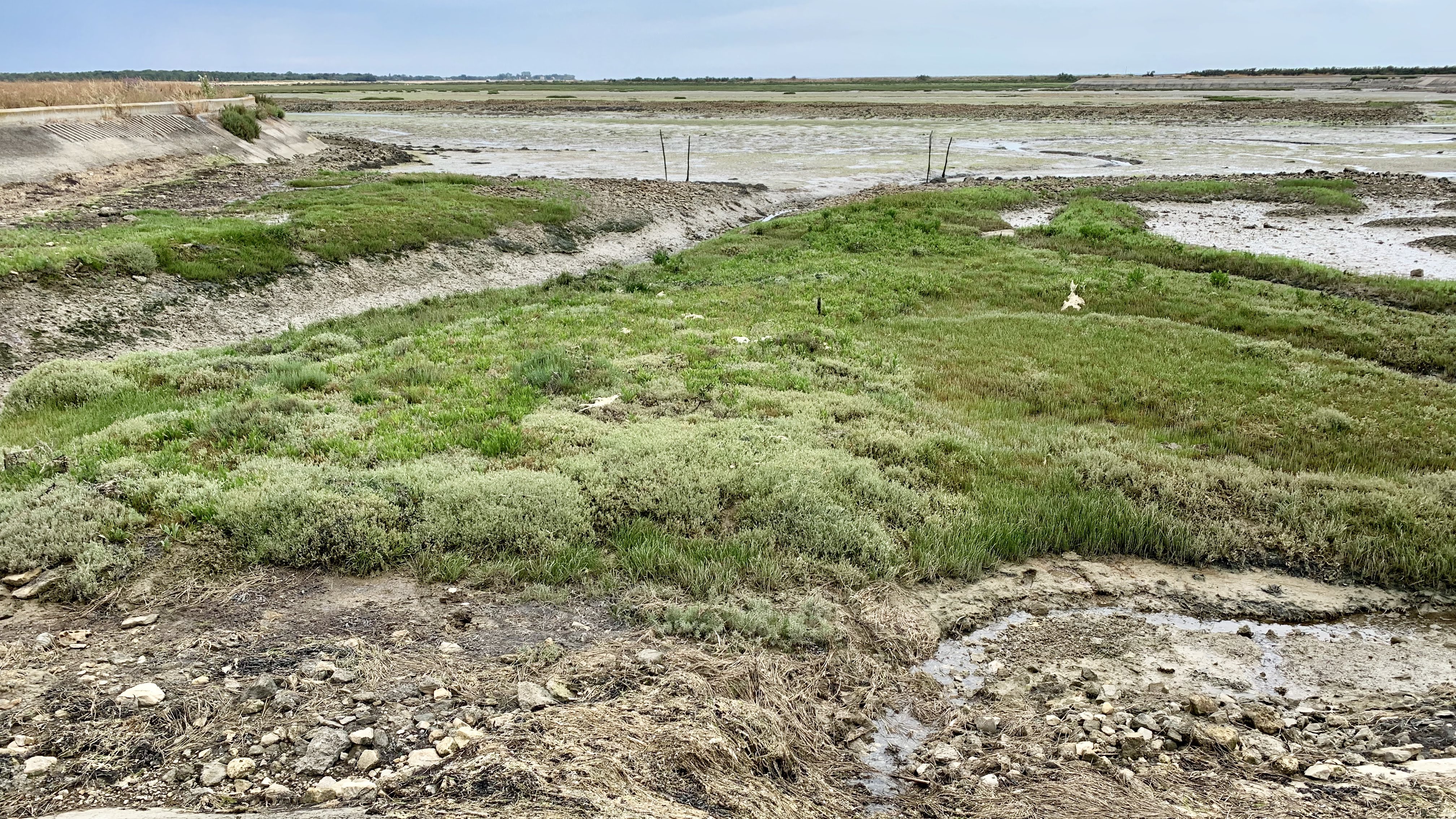 Photo n° 12 de l'avis de Christian.a fait le 14/07/2019 à 14:26