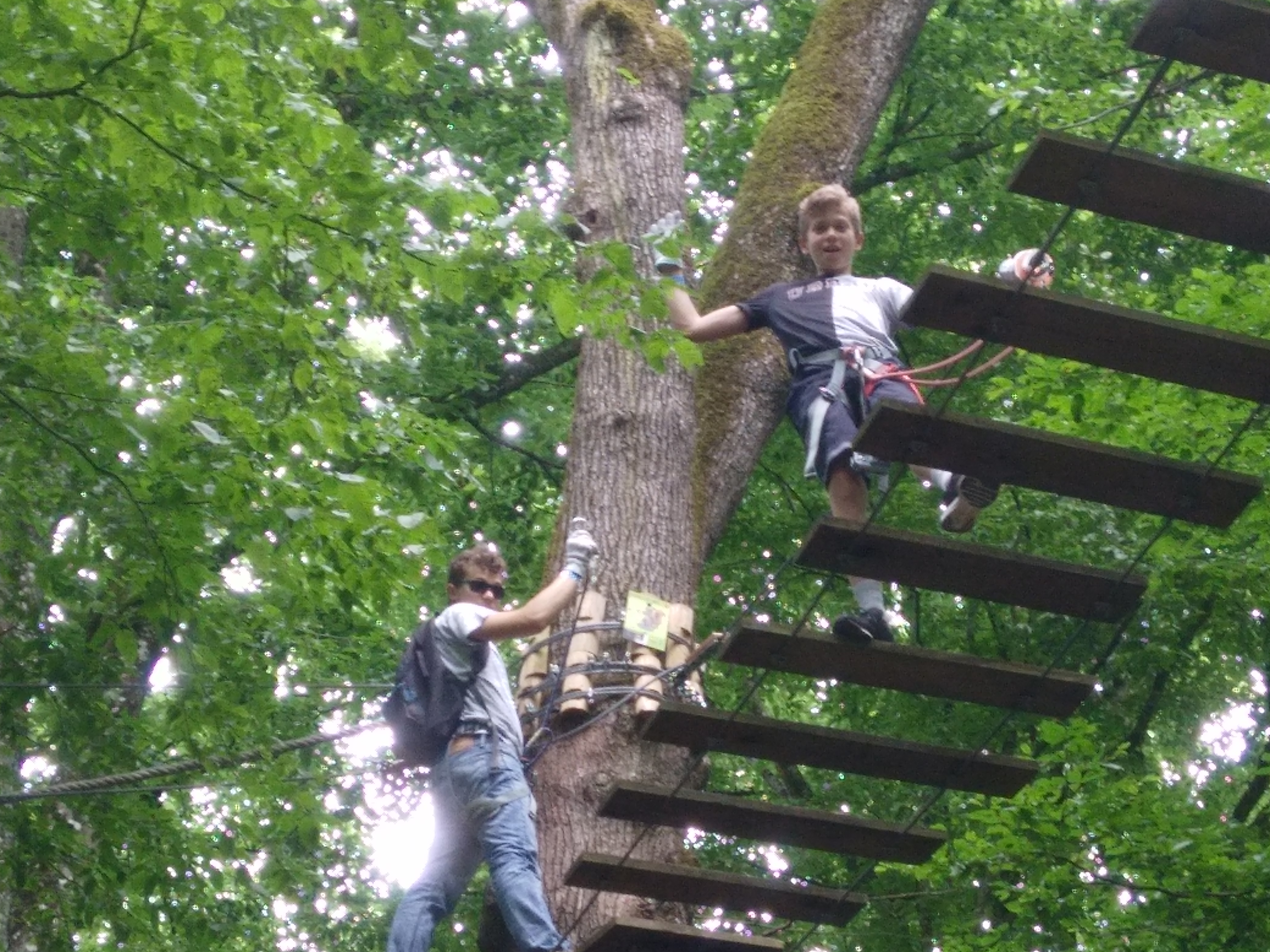 Photo n° 1 de l'avis de jean-marc.o fait le 21/06/2019 à 13:12