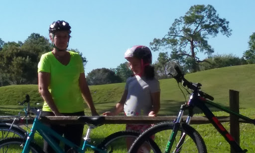 Bicycle Store «Fort Myers Cyclery - Schwinn GT Jamis Colnago», reviews and photos, 3630 S Cleveland Ave, Fort Myers, FL 33901, USA