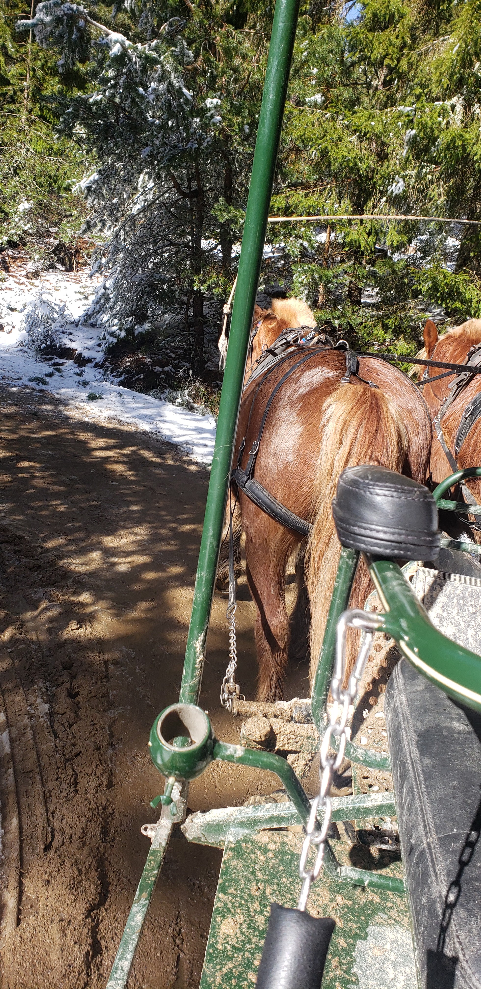 Photo n° 2 de l'avis de chantal.o fait le 02/03/2024 à 13:32
