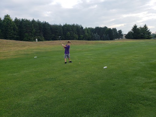 Public Golf Course «Briar Ridge Golf Course», reviews and photos, 11099 W Dodge Rd, Montrose, MI 48457, USA