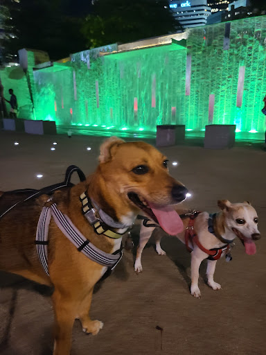 Baseball Club «Charlotte Knights Baseball Club», reviews and photos, 324 S Mint St, Charlotte, NC 28202, USA