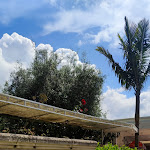 Photo n°8 de l'avis de Alessandra.i fait le 15/06/2023 à 16:49 sur le  La Capannina Ristorante Pizzeria à Patti