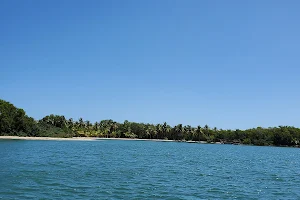 Punta Arena Beach Los Haitises National Park image