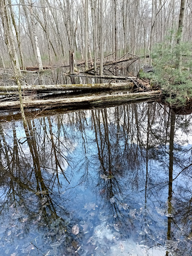 Stewardship Trail