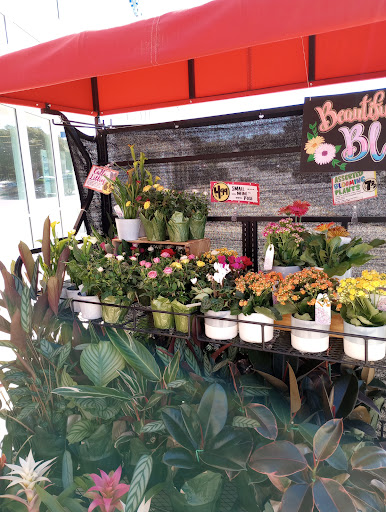 Hobby Lobby, 1991 Exeter Rd, Germantown, TN 38138, USA, 