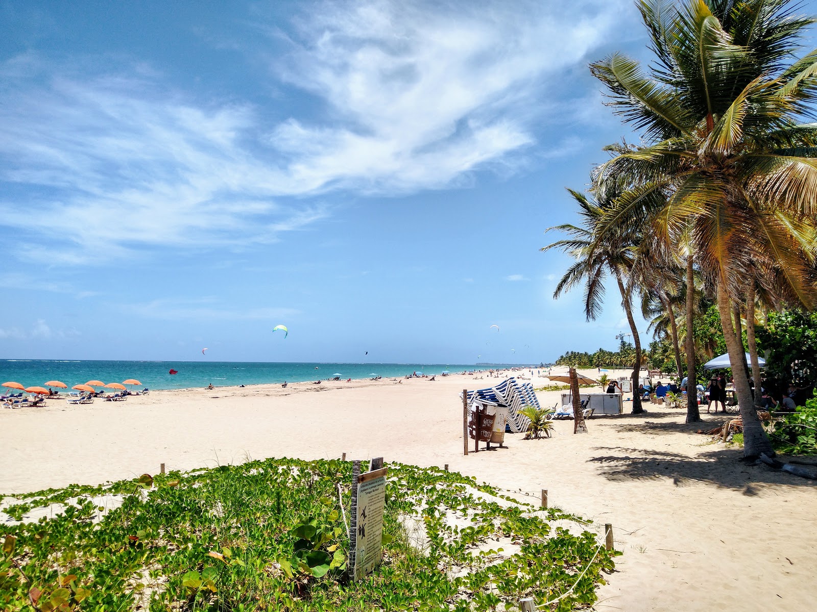 Photo of Ocean Park beach with bright fine sand surface