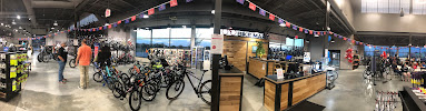Bike Mart - Photo 2 - Car repair in Frisco, TX, Plano