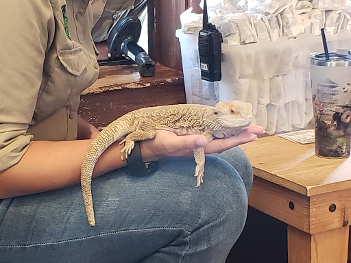 Theme Park «Fun Spot America Theme Parks-Orlando», reviews and photos, 5700 Fun Spot Way, Orlando, FL 32819, USA