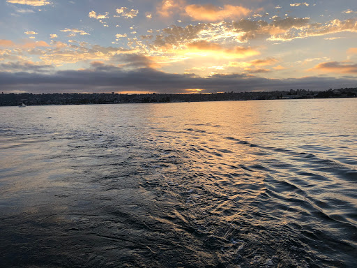San Diego Auto Tint image
