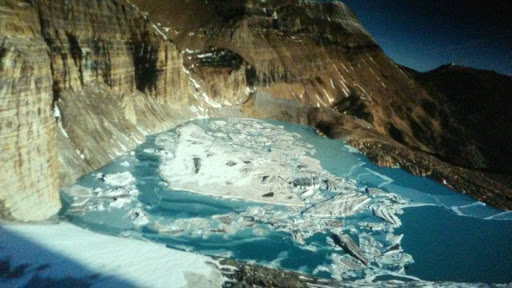 Natural History Museum «Fernbank Museum of Natural History», reviews and photos, 767 Clifton Rd, Atlanta, GA 30307, USA