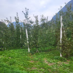 Photo n°3 de l'avis de Claudio.i fait le 24/10/2023 à 07:24 sur le  Hotel AlpHoliday Dolomiti à Dimaro