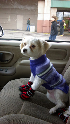 Pet Store «Petland», reviews and photos, 2123 Old Hudson Rd, St Paul, MN 55119, USA