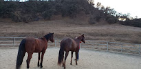 Aliso Ranch Stables - Photo 9 - Car repair in Santa Paula, CA, San Buenaventura