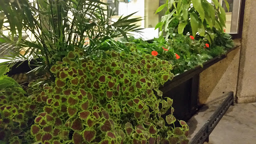 Hotel «Des Moines Marriott Downtown», reviews and photos, 700 Grand Ave, Des Moines, IA 50309, USA