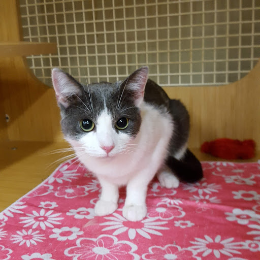 Pet Supply Store «Petco Animal Supplies», reviews and photos, 1215-1309 NJ-33 #1, Hamilton Township, NJ 08690, USA