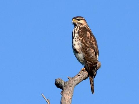 Park «Katherine B. Winniford Park», reviews and photos, 4900 Highlands Dr, McKinney, TX 75070, USA