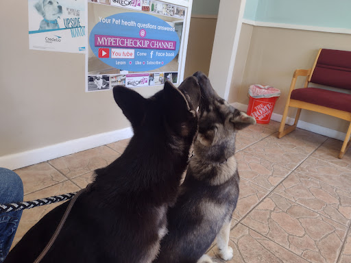 Altamonte Pet Doc Hospital image