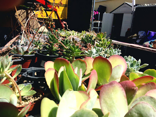 Hardware Store «San Andres Hardware», reviews and photos, 635 W Micheltorena St, Santa Barbara, CA 93101, USA